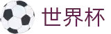 2026国际足联世界杯_买球软件